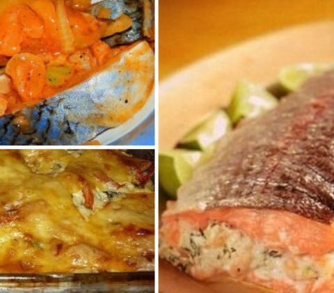 25 рецептов из рыбы